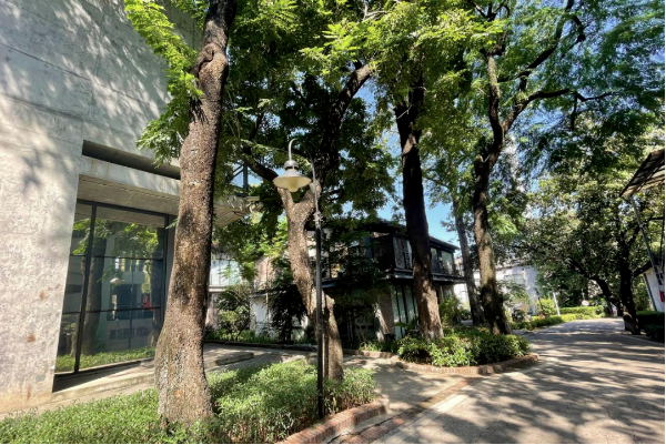 新仕诚公司顺应绿色发展潮流，坚定不移推进园区生态文明建设